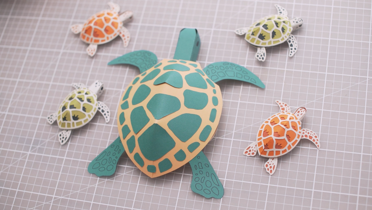 Craft Activity Paper Turtle Sam Pierpoint