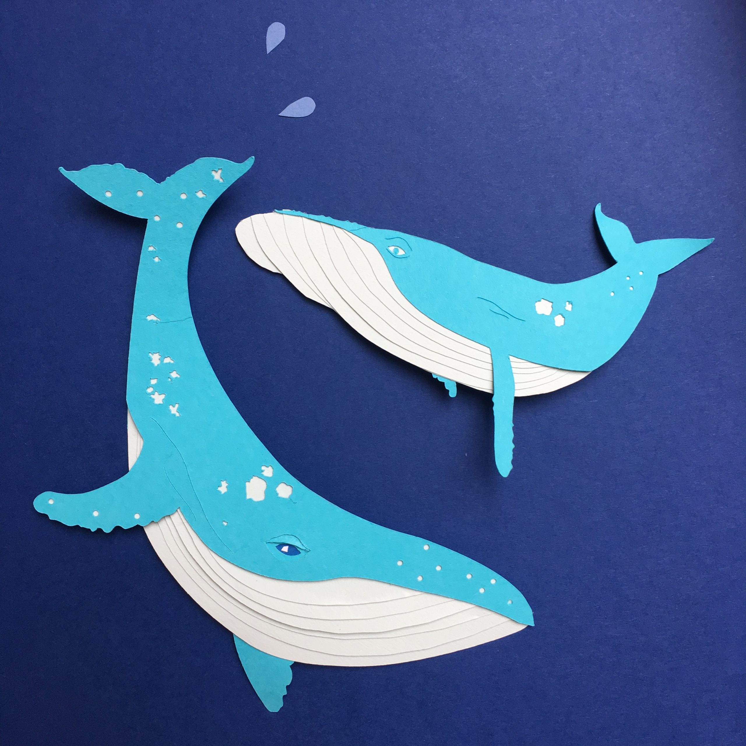 Paper whales